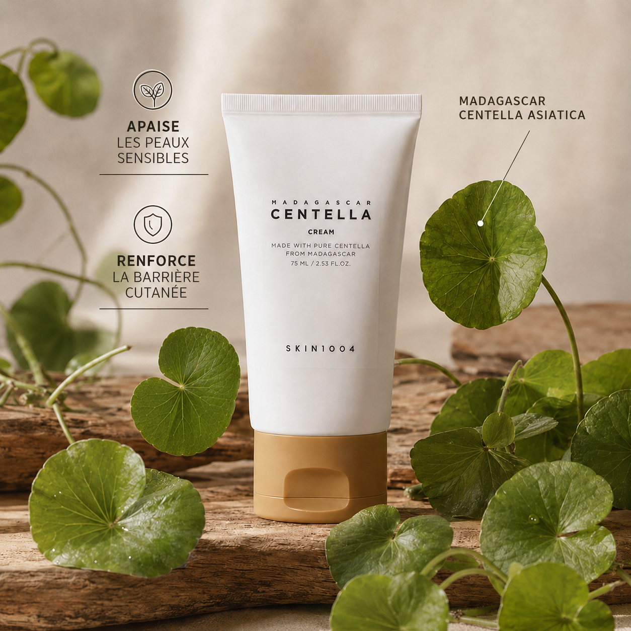 Crème Apaisante Centella Asiatica + Crème Solaire SPF30 PA++++ | Soin Coréen Éclat & Protection